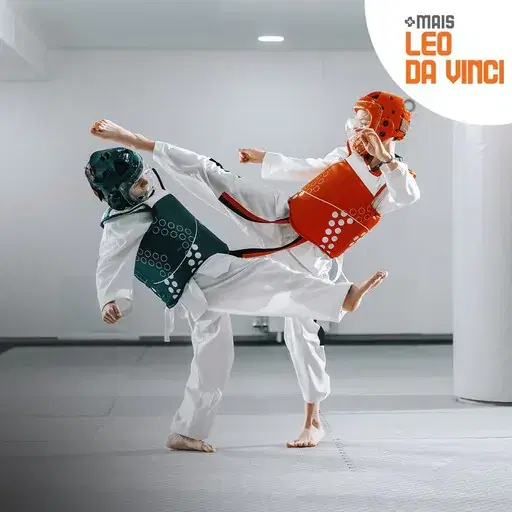 LEO-DA-VINCI_TAEKWONDO.jpg